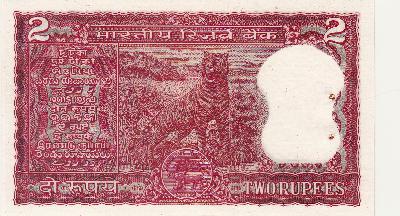 Beschrijving achterzijde: TIGER